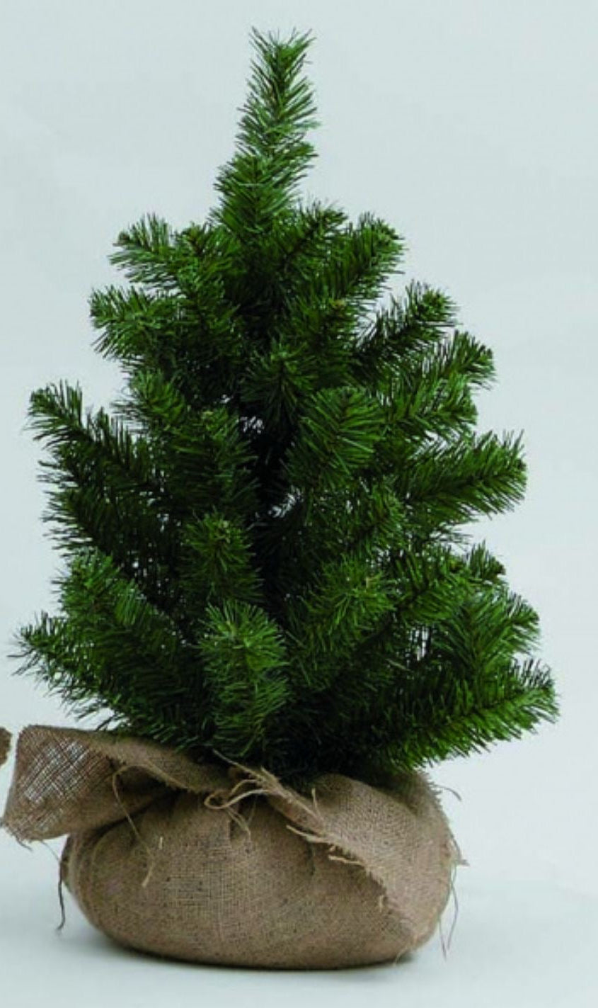 ALBERO 60CM